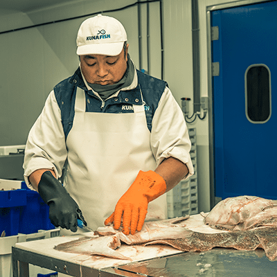 Fileerbedrijf KuNa Fish - onthuiden van verse vis